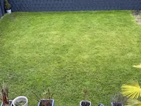 IMG_3446.webp