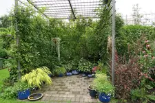 Rosentempel 1321.webp Rosentempel 1321.webp