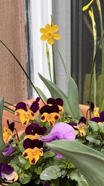 IMG_5485.jpeg