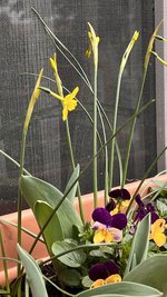 IMG_5486.jpeg
