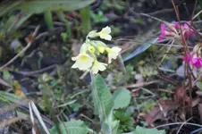 DSC00573.webp