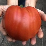 IMG_9778.jpeg