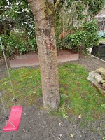 IMG20230319150214.jpg