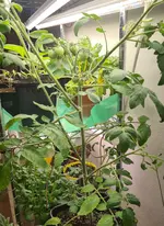 20230403_184212.webp