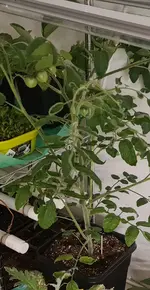20230403_184110.webp
