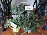 IMG_20230403_174934.webp