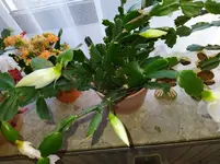 IMG_20230403_094019.webp