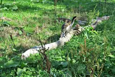 IMG_7878 v (2).webp