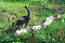 IMG_7879 v (2).webp