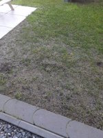 20230405_082341.jpg