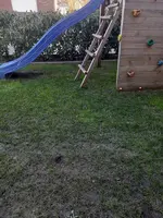 20230405_082349.webp