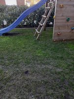 20230405_082349.jpg