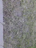 20230405_082357.webp