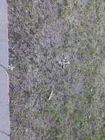 20230405_082357.jpg