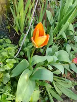 20230404_170953.webp