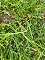3C745245-13DB-4180-96B3-C93EE401AD60.jpeg