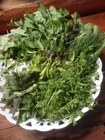 IMG_20230406_165304.webp