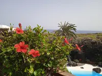 IMG_20230331_160605_1.jpg