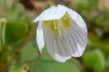P1050864.webp