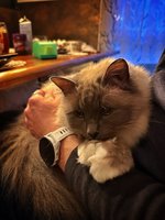 IMG_8803.jpeg