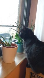 20230407_120215.jpg