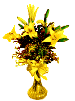 53.gif