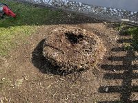 7E01821F-4459-41DF-A258-D34907280D7B.jpeg