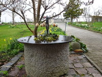 DSC02838.JPG
