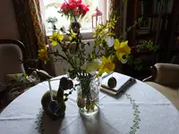 DSC02841.JPG