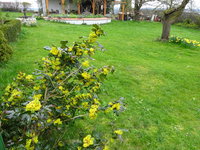 DSC02837.JPG