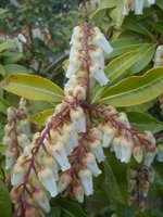 DSC07096.jpg
