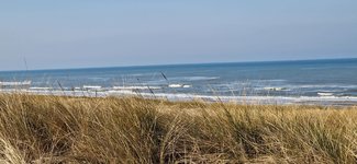 IMG-20230408-WA0004.jpg