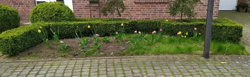 vorgarten.webp