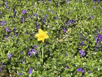 IMG_3016[1].webp
