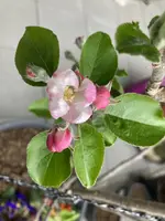 IMG_3018[1].webp