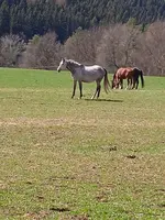 IMG_20230410_135810.jpg