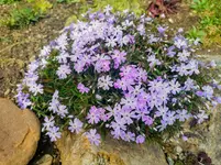 IMG_20230412_101639.webp