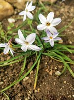 IMG_20230412_101730.jpg