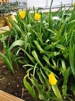 IMG_20230412_101458.jpg