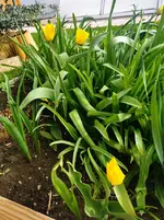 IMG_20230412_101458.webp
