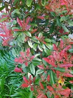 IMG_20230409_124546.jpg
