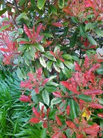 IMG_20230409_124546.jpg