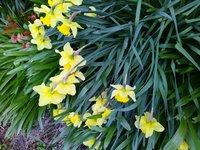 IMG_20230409_124531.jpg