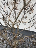 CC45DC47-2405-46A2-AE06-9BC91859C53E.jpeg