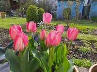IMG_20230413_172821.jpg