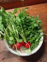 IMG_20230413_101859.webp