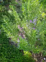 IMG_20230414_101331.webp