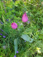 IMG_20230414_101024.jpg