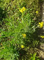 IMG_20230414_100913.webp