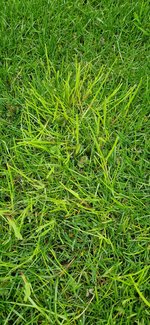 20230414_104110.jpg